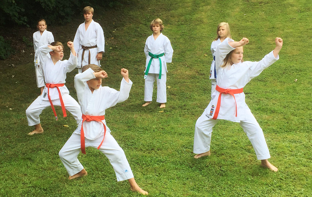 Kata-Team zeigt Karate-Kata auf der Wiese